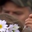Face f_1035991_18