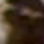 Face f_1048441_18