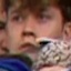 Face f_1069111_61