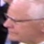 Face f_1103431_31