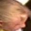 Face f_1109911_20