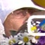 Face f_1132741_12