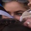 Face f_1162771_5