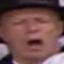 Face f_1175491_12