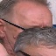 Face f_1185781_3
