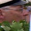 Face f_1192291_2