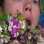 Face f_1194211_4