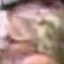 Face f_1213261_152