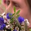 Face f_1216381_3