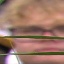 Face f_1217431_12
