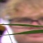 Face f_1217461_12