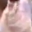 Face f_1228831_146