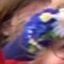 Face f_1230091_12