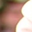 Face f_1237261_33