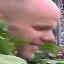 Face f_1274851_6