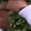 Face f_1275271_15