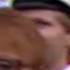 Face f_1276231_14