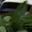 Face f_1276261_20