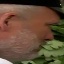 Face f_1278241_3