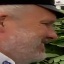 Face f_1278301_3