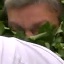 Face f_1278631_4