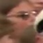 Face f_1280611_9