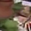 Face f_1280881_10