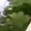 Face f_1280971_16