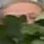 Face f_1281691_11