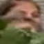 Face f_1282021_12