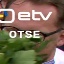 Face f_1282351_13