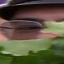 Face f_1282741_4
