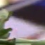 Face f_1283491_22