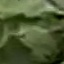 Face f_1283851_8