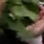 Face f_1284271_9