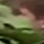 Face f_1284601_21