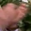 Face f_1284601_22