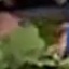 Face f_1284601_23