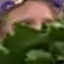 Face f_1284721_18