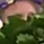 Face f_1284751_15