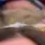 Face f_1285411_23
