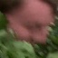 Face f_1285531_7