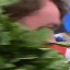Face f_1285591_16