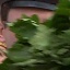 Face f_1285621_13