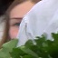 Face f_1285741_12
