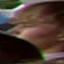 Face f_1286251_1