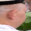 Face f_1286641_7