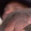 Face f_1286761_6