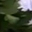 Face f_1287511_16