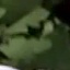 Face f_1287661_10